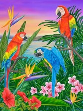 Ceramic Backsplash Tile Mural Tropical Bird - Parrot Trio