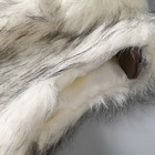 Bild 8 von 15