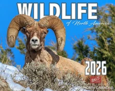2026 Wildlife of North America Wall Calendar 16-Month X-Large | FREE SHIPPING