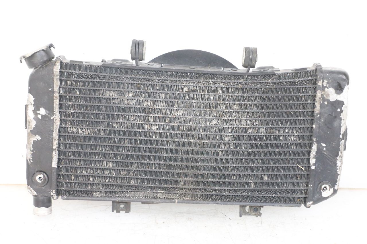 RADIATOR - YAMAHA TDM ABS 900 (2002 - 2014)