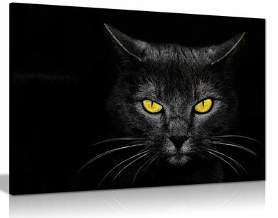 Schwarze Katze 2 gerahmte Leinwandbilder, Bilder für Zuhause Wände Deko
