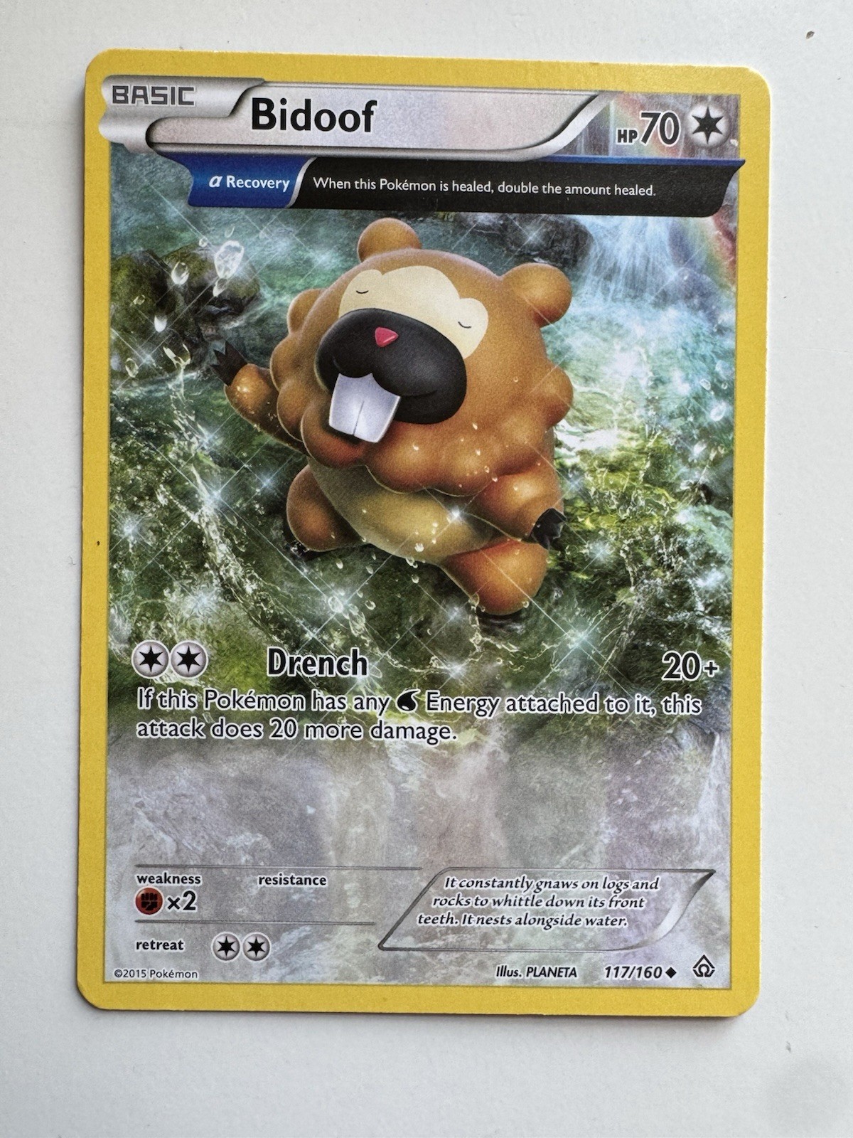 Bidoof - 117/160 - Pokemon TCG Card 2015 Primal Clash - NM