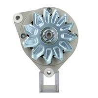 Lichtmaschine Deutz-Fahr 55A FüR Oem Mahle Neu Vgl.Nr. 516010055 / 8EL725800001