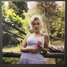 1957 Marilyn Monroe Original Photo Sam Shaw Roxbury Connecticut Flower