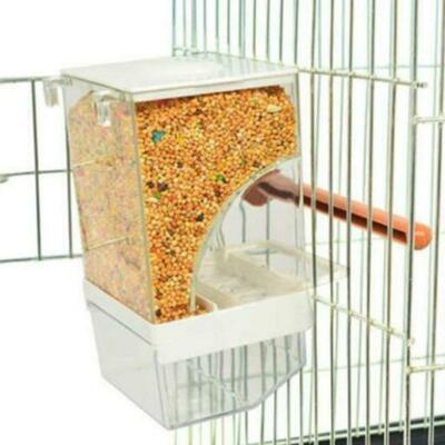 automatic bird feeder