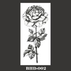 Foto 12 di 27