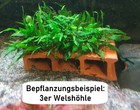Bild 24 von 62