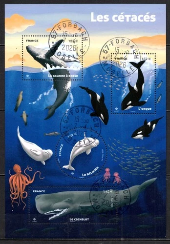 FRANCE 2026 Block - Cetaceans Used Round Stamp.