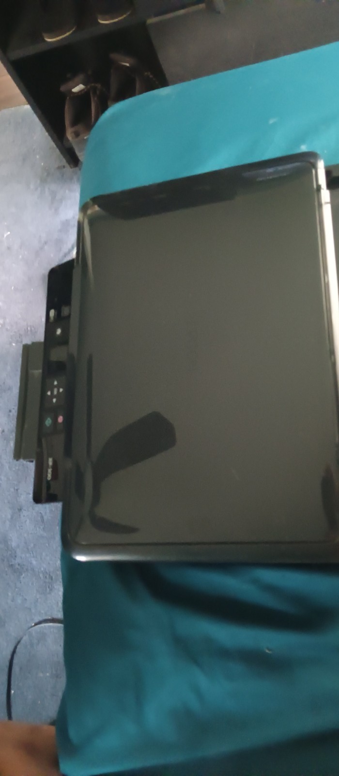 Picture 3 of 4