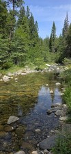 Gold Claim 20 Acre Mineral mining Prospecting Trinity River fish nuggets hunt