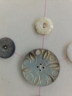 25 Carved and Etched Abalone Shell Buttons — photo 10