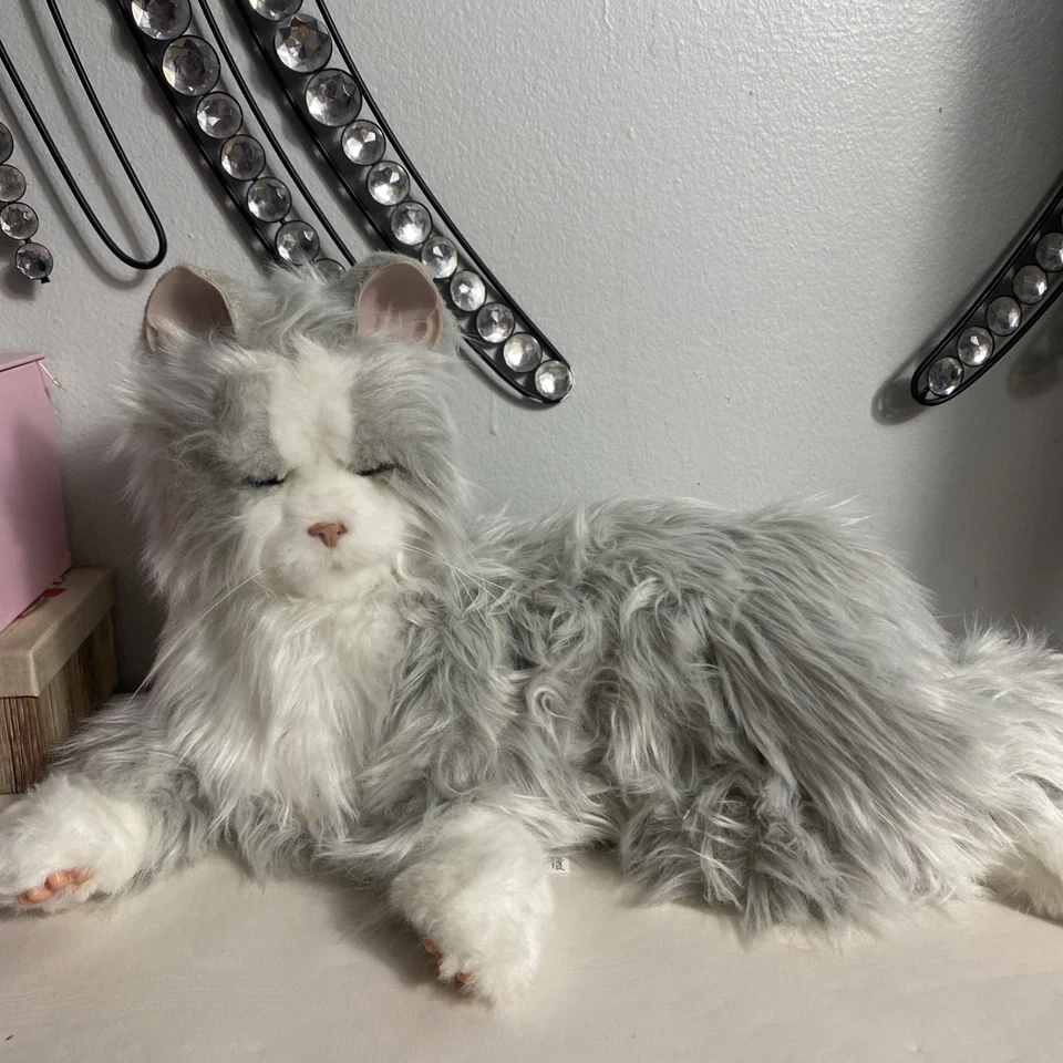 Companion Pet Cat Joy para todos A7594 Foto 4 de 4