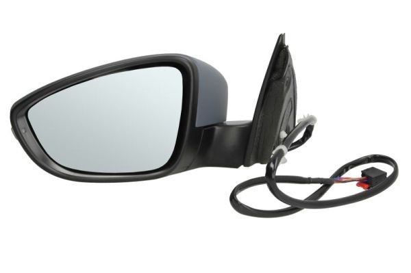 Left BLIC 5402-01-2002669P Exterior Mirror for VW