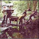 White Rabbits - While We Go Dancing / Take A Walk Around The Table -  - F1177z