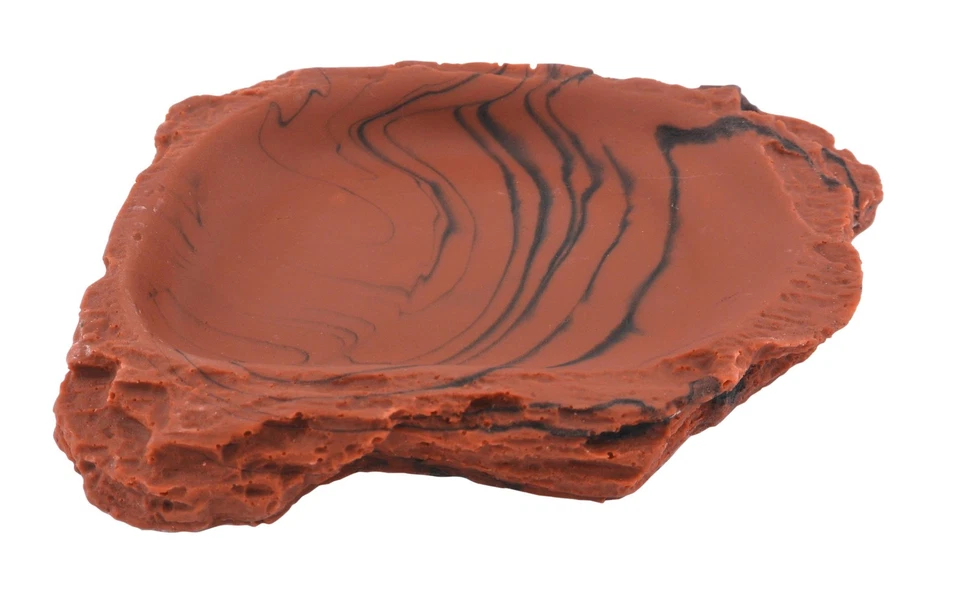 Lucky Reptile Turtle Dish - Bild 1 von 1
