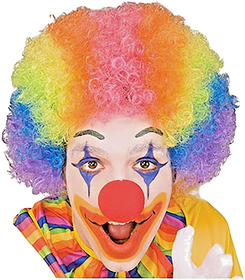 Halloween, Mardi Gras Payaso Peluca Foro Novedades Adulto Arco Iris Disfraz de Lujo-NUEVO Foto 4 de 4