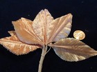Picture 4 of 8