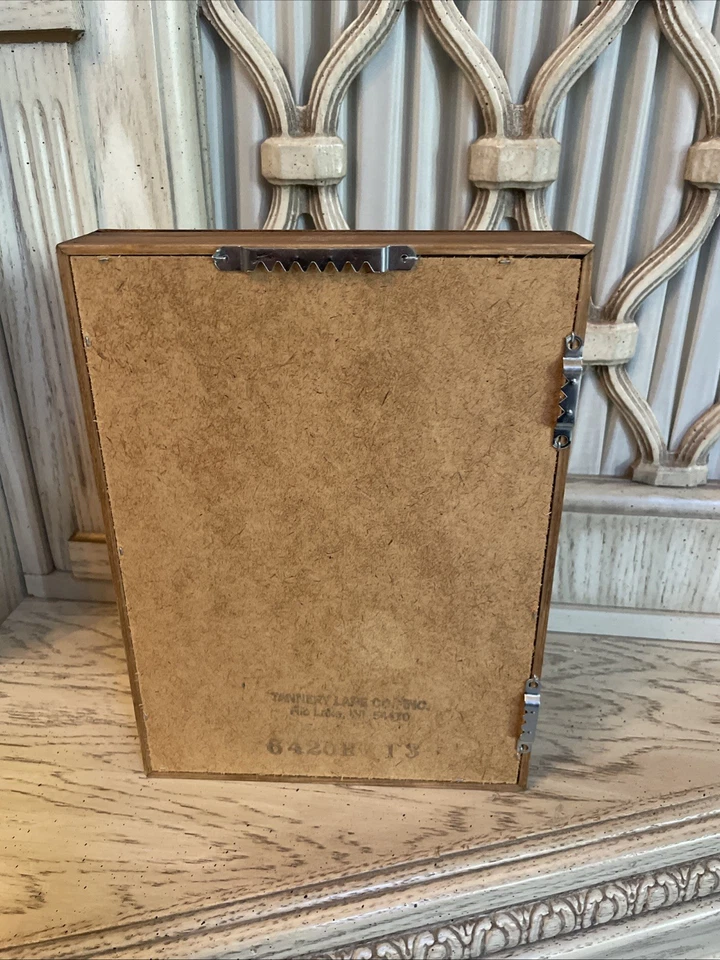 Vitrina de pared de dedal de colección, madera/vidrio, 24 secciones, forro de terciopelo negro Foto 4 de 4