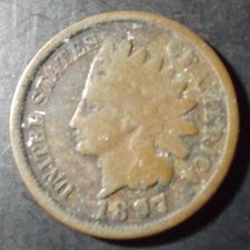  on The Hot Collector