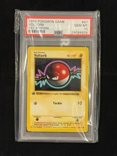 1999 Voltorb 1st Edition #67 PSA 10 GEM MINT Base Set Shadowless Pokemon