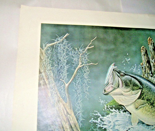 Bajo Impresión Boca Grande Ronald J Louque Nº 589/5000 Firmado 1976 Cypress House 22/28 - Imagen 7 de 12