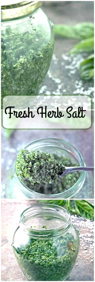 SOPRAVVIVENZA CUCINA ESSENZIALE! 5 varietà di erbe CULINARIE ottimo gusto SEMI NON OGM - Immagine 3 di 4