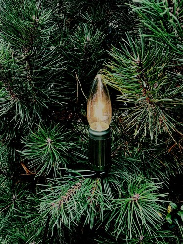 TUNGSRAM/Osram Weihnachtslichter Tannenbaum für außen15 Kerzen 220-230V 45W - Bild 2 von 5