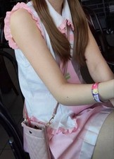 Hatsune Miku Sakura Cosplay Costume Wig S Used VTuber Vocaloid Stage Japan