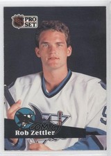 1991-92 Pro Set Rob Zettler #330 0a3