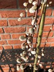Bild 5 von 5
