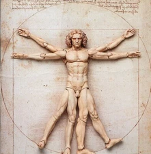 New FREEing figma Table Museum Vitruvian Man non-scale ABS & PVC *US SELLER*
