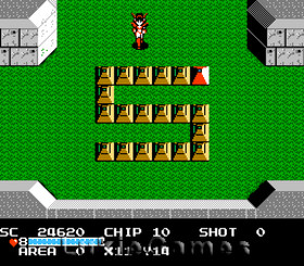 The Guardian Legend - Juego NES Nintendo