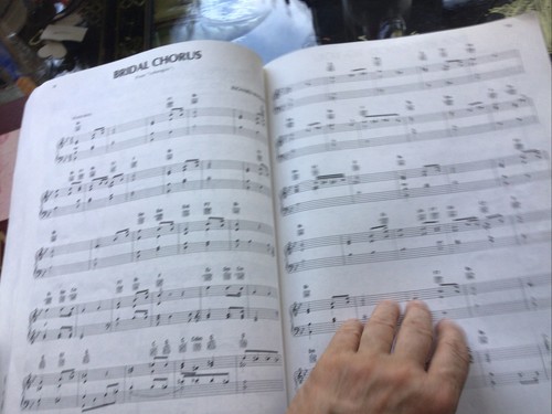 Wedding Songs of Love and Friendship - Picture 5 of 12