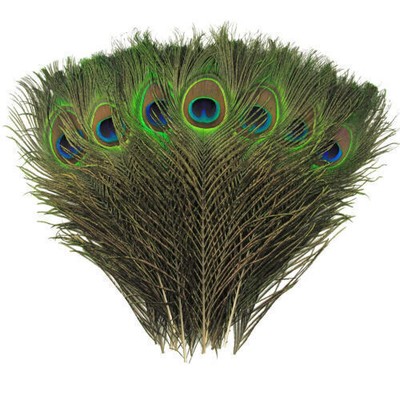 20/50/100x Pfauenfedern 25-30 cm Natur Deko Federn Hutschmuck DIY mit Pfauenauge