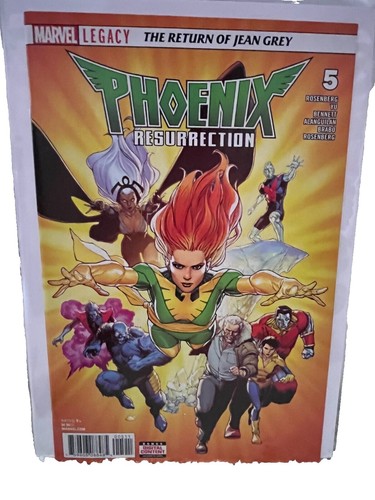 Yu-Gi-Oh! HIGH-RESOLUTION ARTWORK SERIES D-HERO Destroyer Phoenix