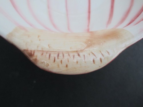 Pier 1 ciotola per condimenti snack immersione in ceramica a forma di cipolla rossa  - Foto 4 di 6