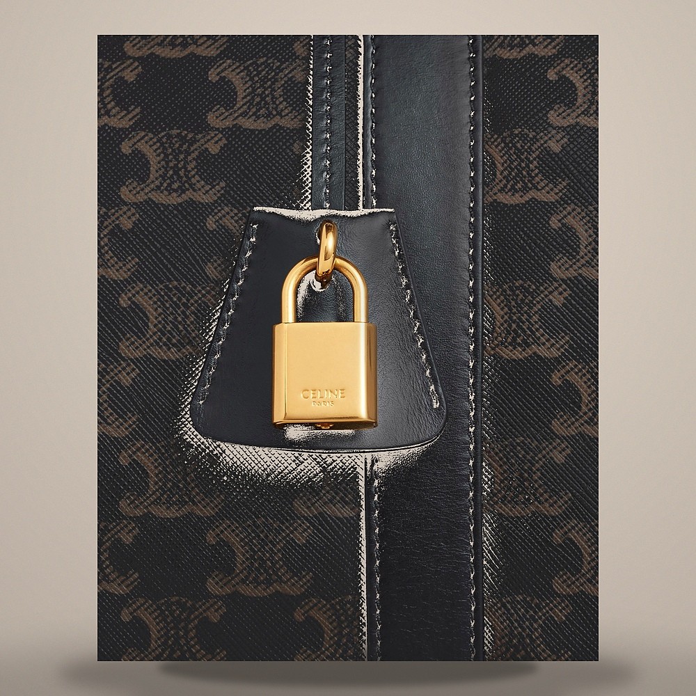 Celine Travel Bag - Triomphe Canvas & Calf Black 190662CHI.38NO 158502121 [U] image 5