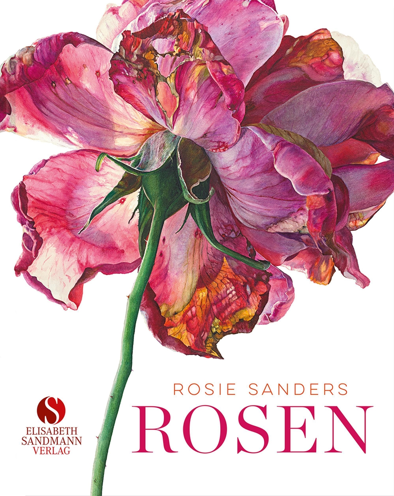 Rosen Rosie Sanders