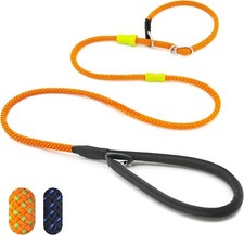 Durable Slip Lead Dog Leash Adjustable Puppy Training Collar Orange, 1/2in 5ft 