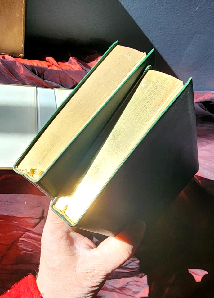 Scarce ~ ULYSSES ~ JAMES JOYCE 1930 2nd German Edition 2 vol in slipcase - Image 3 of 4