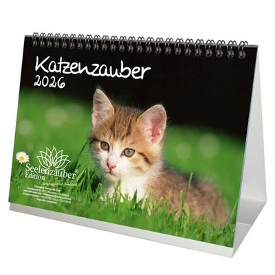 SEELENZAUBER GMBH Katzenzauber DIN A5 Tischkalender für 2026 Katzen und Katzenbabys - Seelenzauber