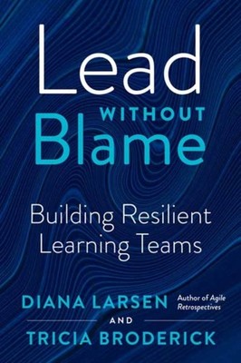 Lead without Blame: Building Resilient Learning Teams by Diane Larsen PAPERBACK