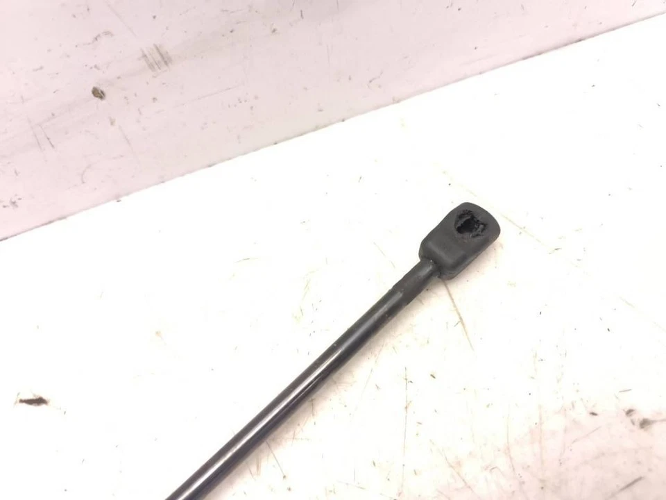 Volkswagen New Beetle 2009 1.6 Ant. Cofano Montante Ammortizzatore 1C0823359E Foto 3 de 4