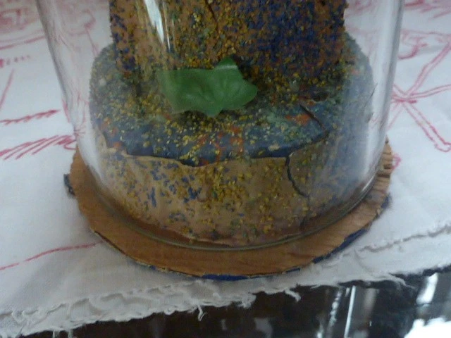 Glasdom Glassturz Höhe 27 cm Durchm 9cm zum Herrichten - Bild 2 von 3