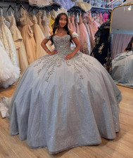 Princess Gray Quinceanera Dresses with Big Bow Glitters Sweet 15 16 Tulle