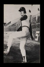 1974 ED BRODER JA3 HIROSHIMA CARP SOHACHI ANIYA NRMT 