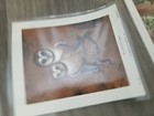 Picture 14 of 16