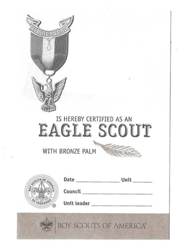 SCOUTS BSA EAGLE RANK AWARD BRONZE PALM PIN NEW CURRENT WITH CARD - Picture 4 of 6