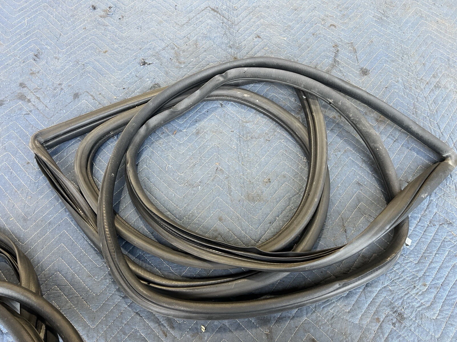 Picture 12 of 12