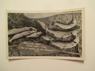 RPPC Crane Lake Minnesota Postcard Fish Greetings way up North Real Photo MN